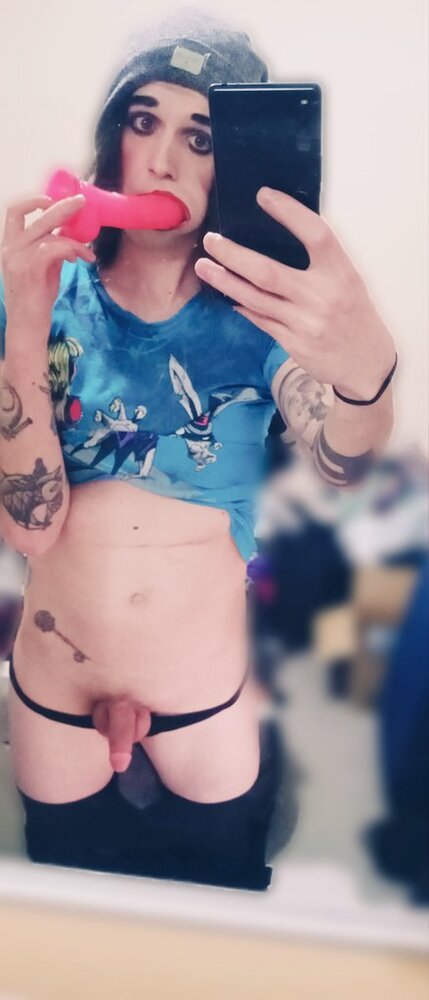 Welsh Sissy #8ATYCcNq