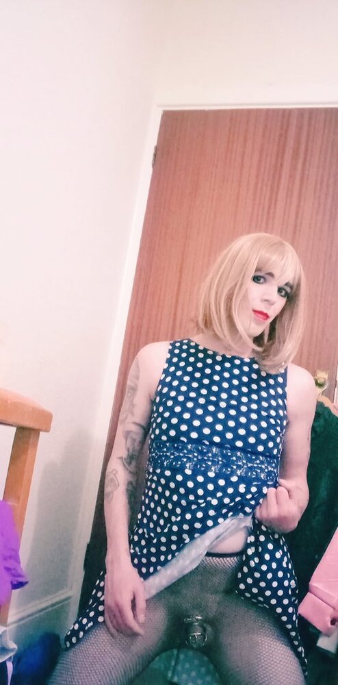 Welsh Sissy #k8FFDJzP